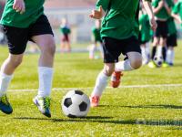 上海玄鸟VS香港金牛预测上海玄天鸟七人得分上双，安徽皖江龙从霸主到1胜4负崩塌是为啥？